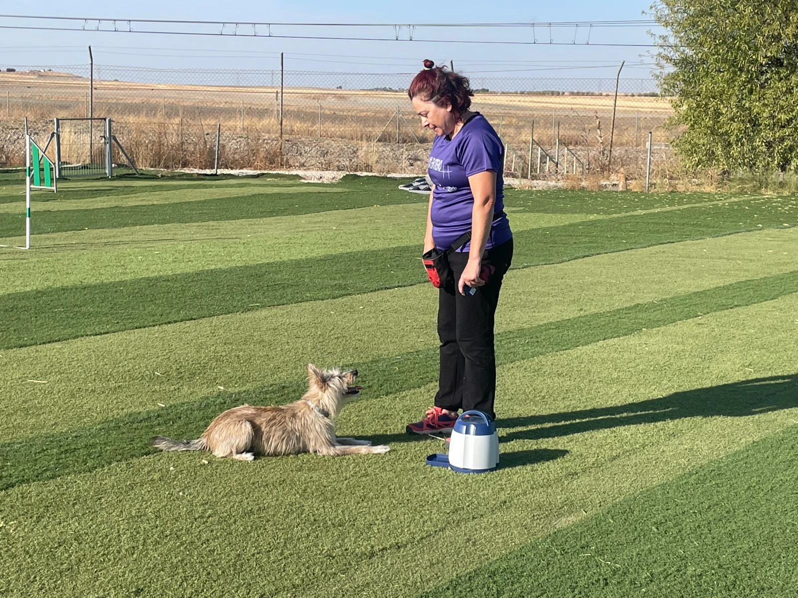 adiestramiento canino en madrid